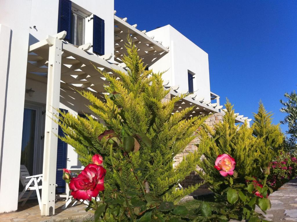 Elea Apartments Kalamos  Номер фото